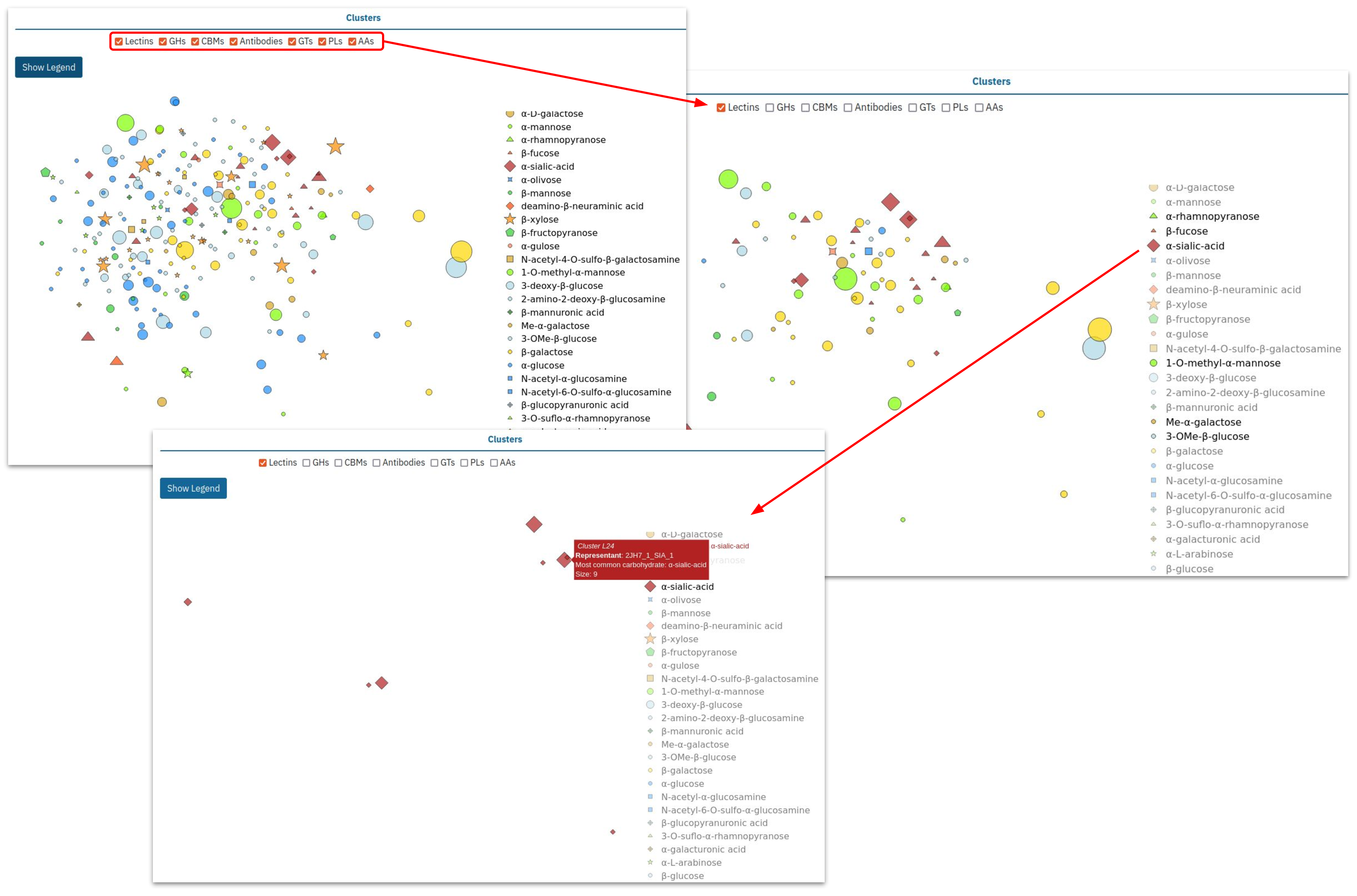 t-SNE visualization of enzyme clusters based on carbohydrate ligands. Demonstrates user selection of lectin clusters, highlighting sialic acid interactions.