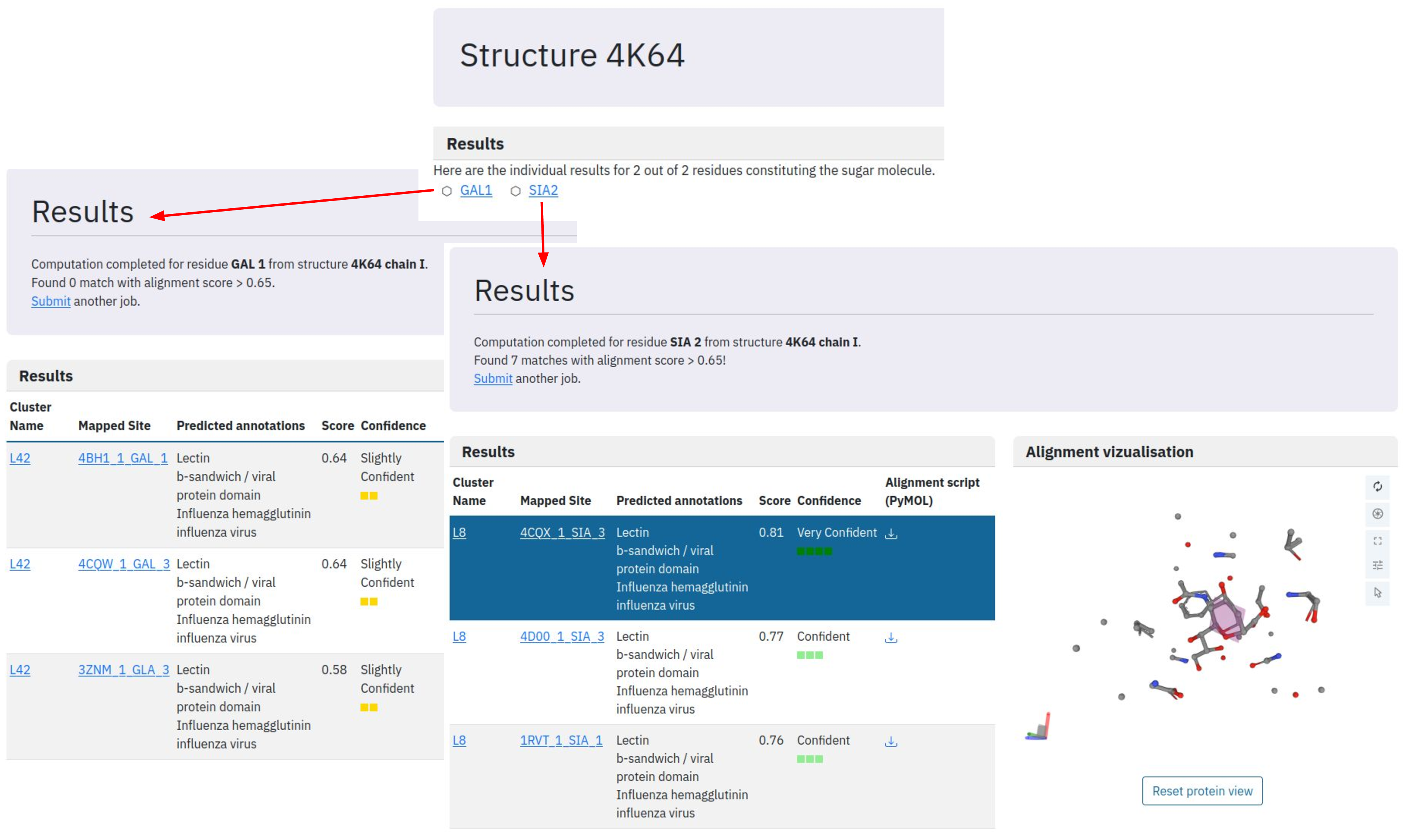 Results of binding site mapping for the GAL-SIA molecule.