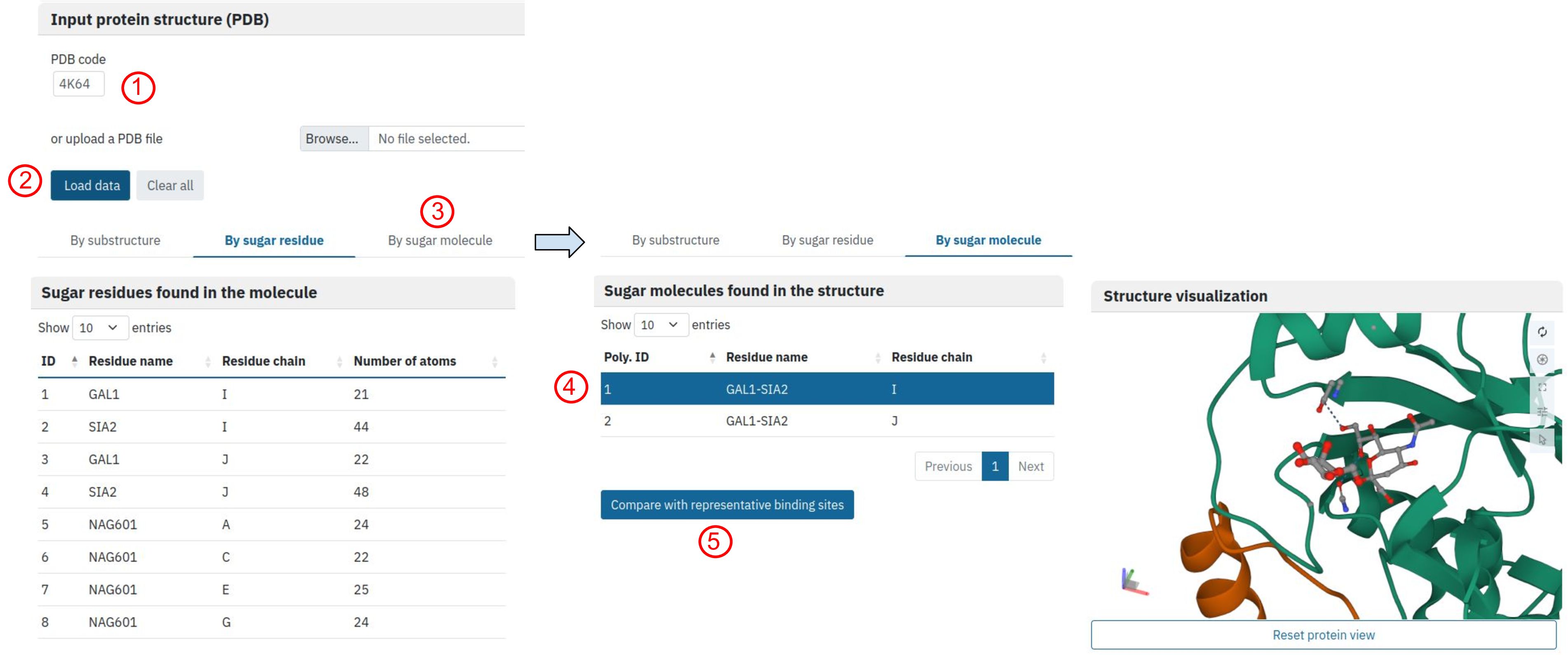 Different options for carbohydrate binding site mapping to DIONYSUS. Numbers indicate the order in which different options were selected.