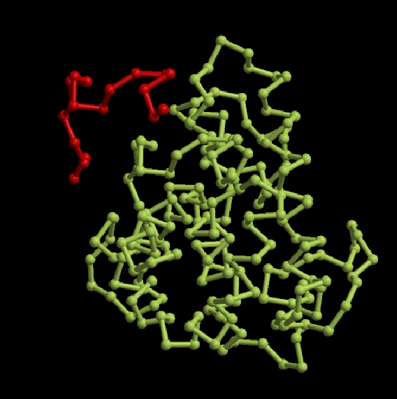 raster 3D 153l and Nter