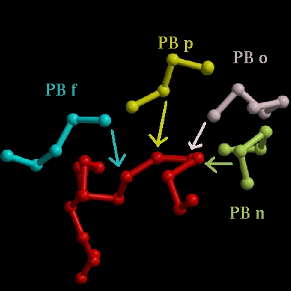 raster 3D 153l Nter and PBs