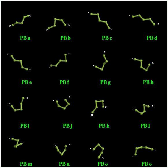 Protein Blocks