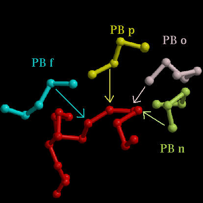 raster 3D 153l Nter and PBs