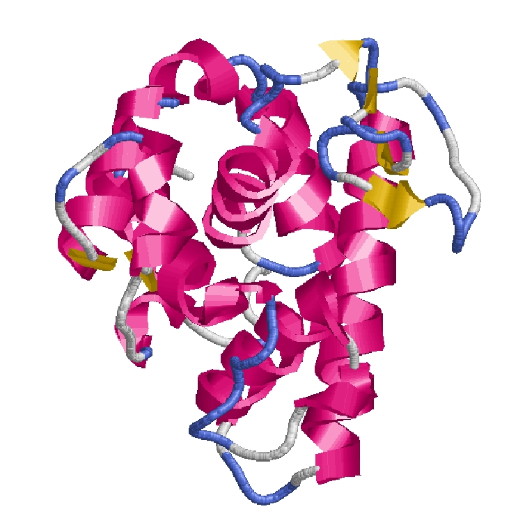 protein in terms of Protein Blocks