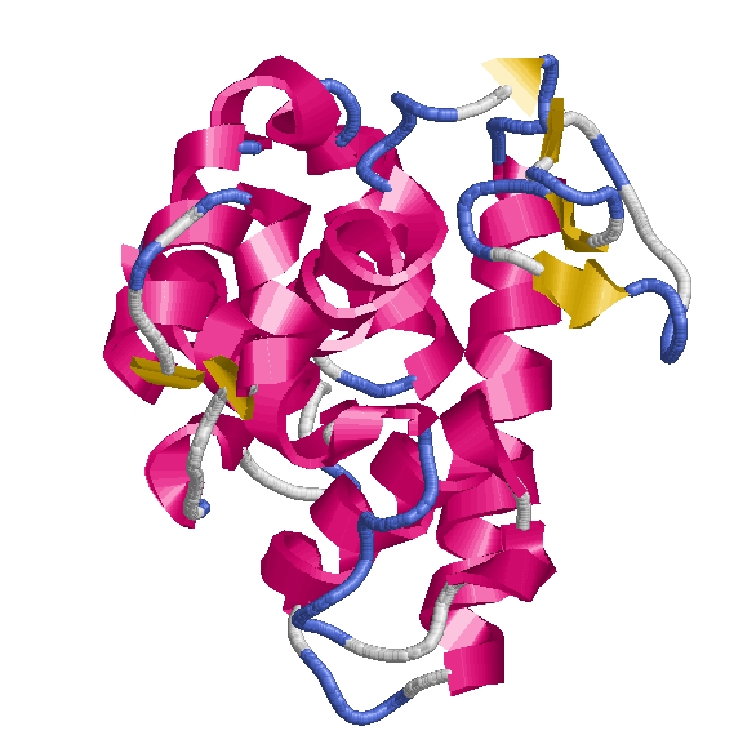 protein in terms of Protein Blocks